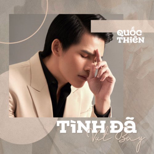 Tình Đã Vụt Bay (Single)