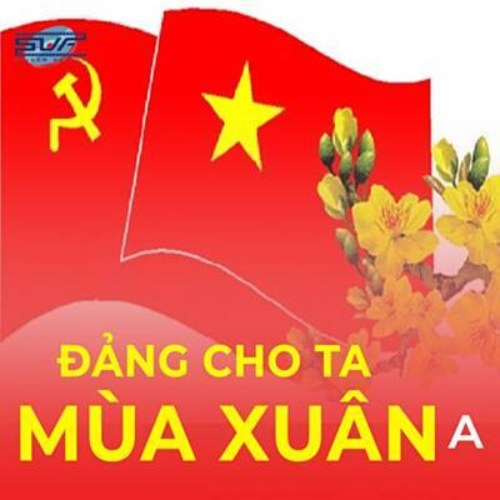 Tam Ca Áo Trắng