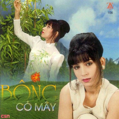 Bông Cỏ May