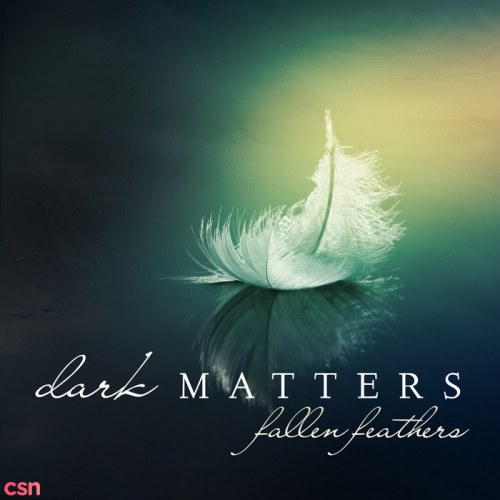 Dark Matters