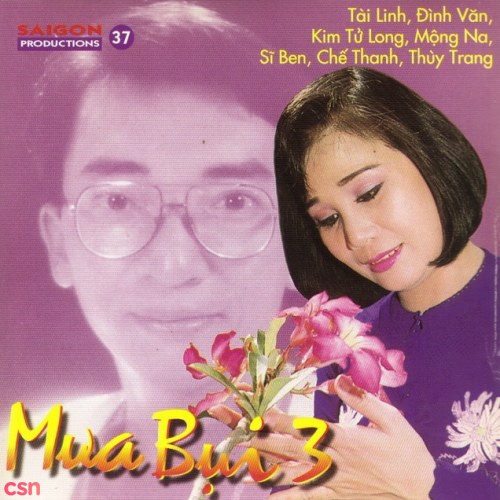 Mưa Bụi 3