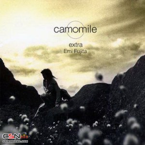 Camomile Extra