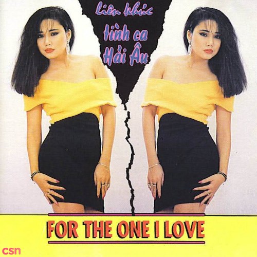 Liên Khúc Tình Ca Hải Âu 1 - For The One I Love