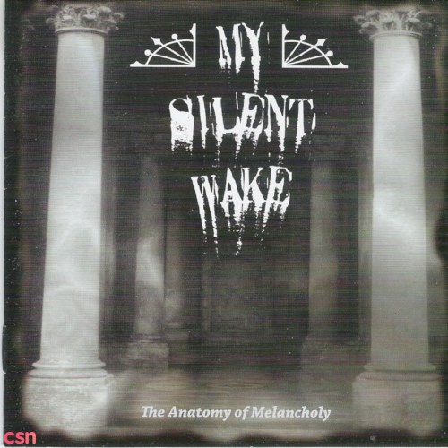 My Silent Wake