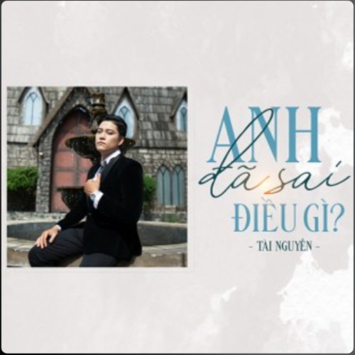 Anh Đã Sai Điều Gì (Single)