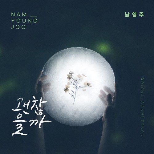 Nam Young Joo