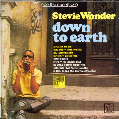 Stevie Wonder