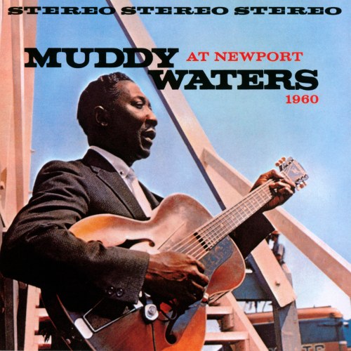 Muddy Waters