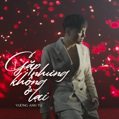 Gặp Nhưng Không Ở Lại (Single)