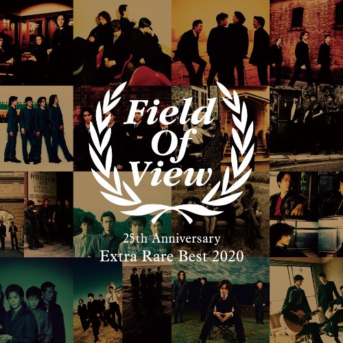 FIELD OF VIEW 25th Anniversary Extra Rare Best cd1