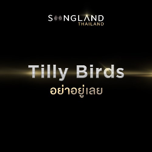 Tilly Birds