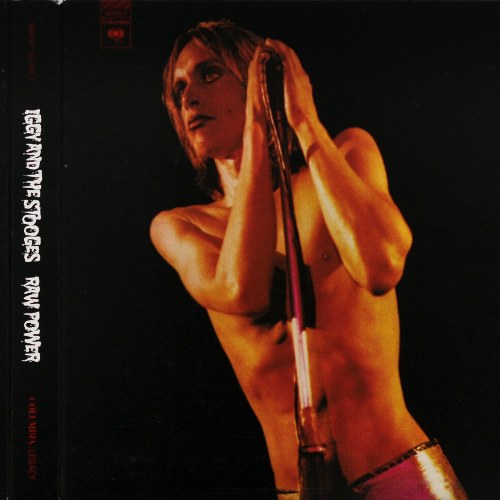 Iggy And The Stooges