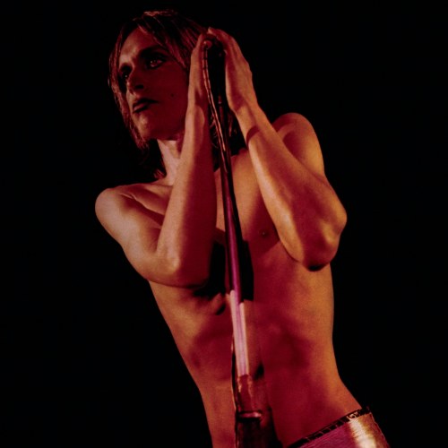 Iggy And The Stooges