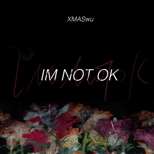 Im Not Ok (Single)