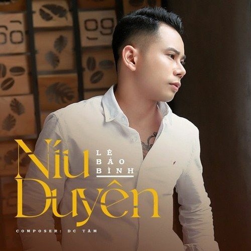 Níu Duyên (DJ Việt Anh Remix) (Single)