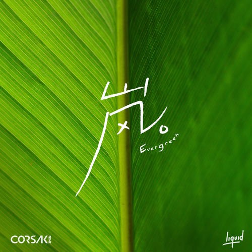 Evergreen (岚) (Single)