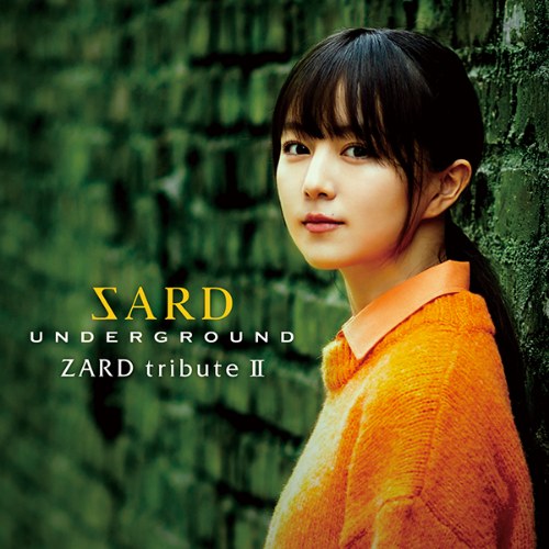 SARD UNDERGROUND