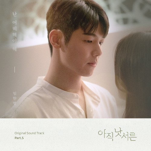 How To Be Thirty OST Part.5 (Single)