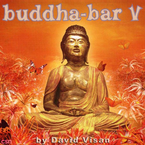 Buddha Bar V (Drink)