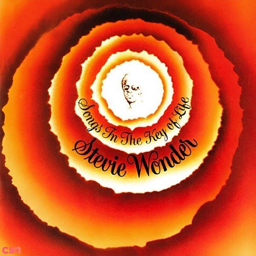 Stevie Wonder