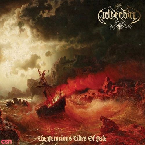 Netherbird