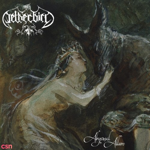 Netherbird