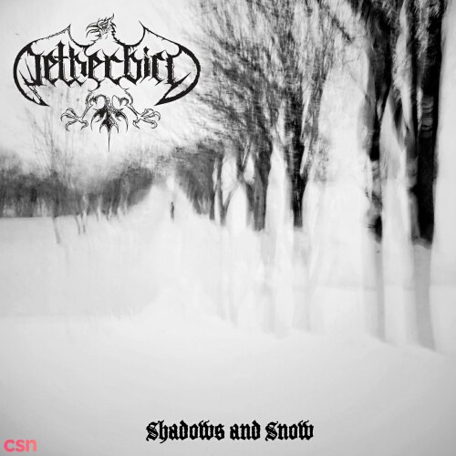 Netherbird