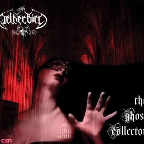 Netherbird