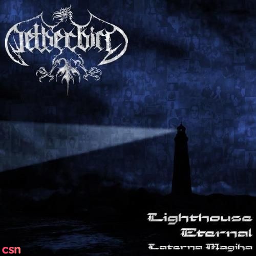 Netherbird