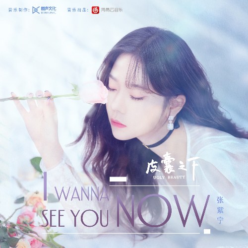 I Wanna See You Now ("皮囊之下"Dưới Lớp Vỏ Bọc OST) (Single)