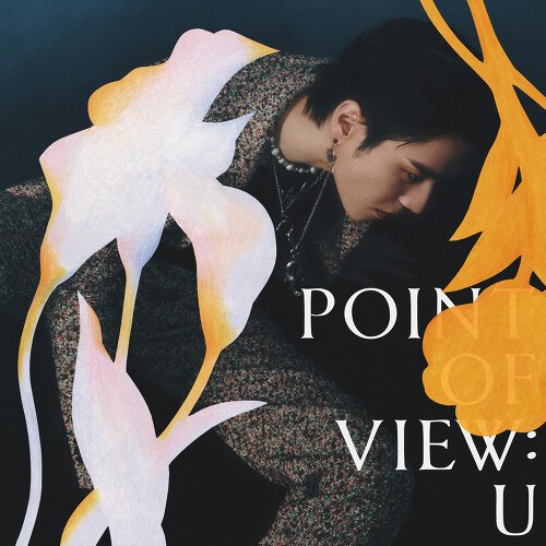 Point Of View: U (EP)