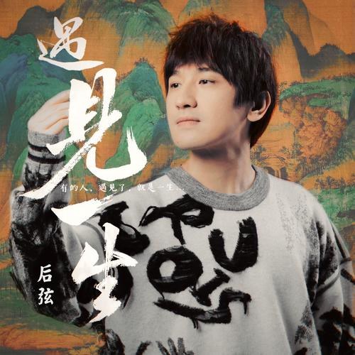 Gặp Nhau Cả Đời (遇见一生) (Single)