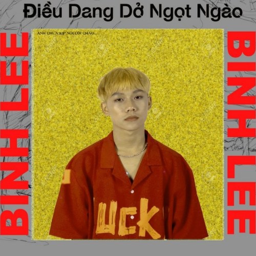 Bình Lee