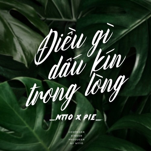 Điều Gì Dấu Kín Trong Lòng (Single)