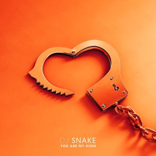 DJ Snake