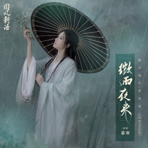 Vi Vũ Dạ Lai (微雨夜来)