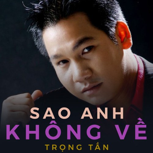 Sao Anh Không Về