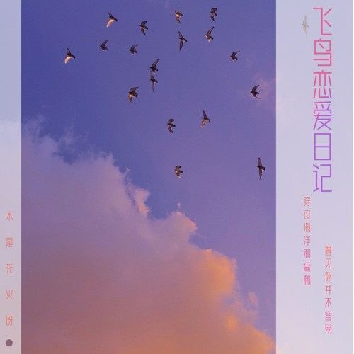Nhật Ký Tình Yêu Phi Điểu (飞鸟恋爱日记) (Single)