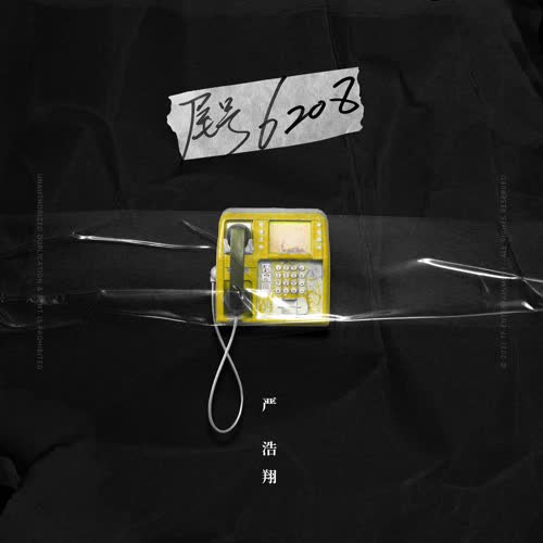 Số Đuôi 6208 (尾号6208) (Single)