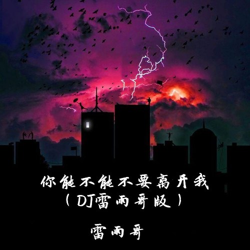 Anh Có Thể Đừng Rời Xa Em Được Không (你能不能不要离开我) / DJ Lôi Vũ Ca Bản (DJ雷雨哥版) [Single]