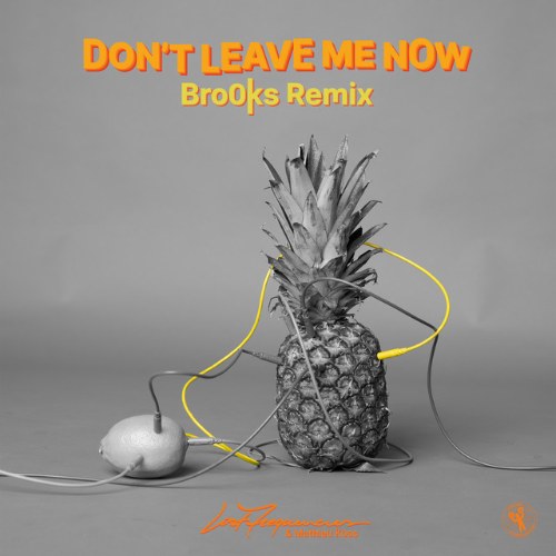 Don't Leave Me Now (Brooks Remix) (Single)