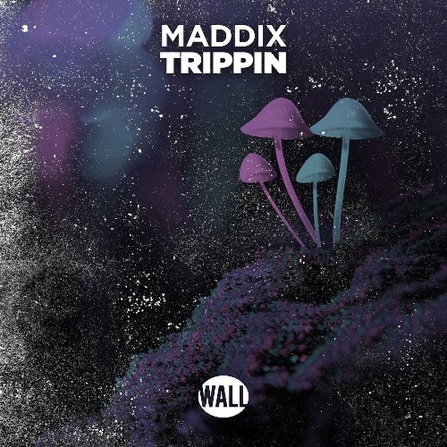Trippin (Extended Mix) (Single)