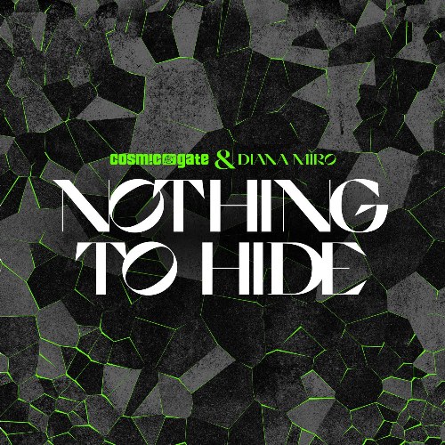 Nothing To Hide (Extended Mix) (Single)