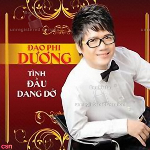 Đào Phi Dương