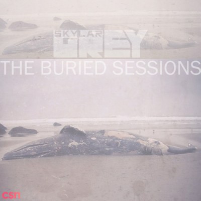 The Buried Sessions of Skylar Grey