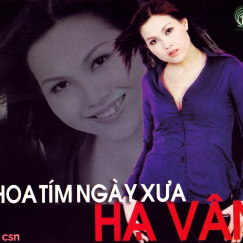 Hoa Tím Ngày Xưa