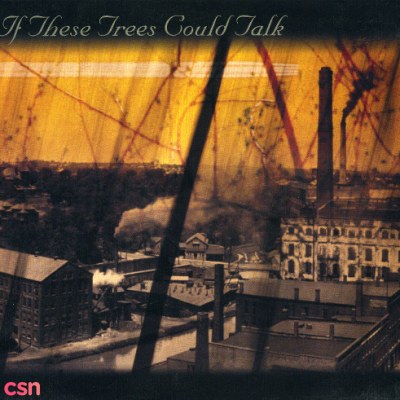If These Trees Could Talk