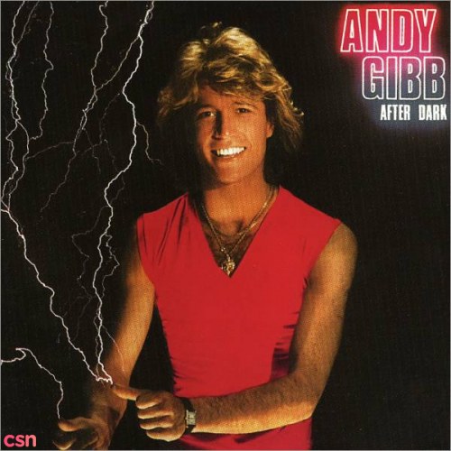 Andy Gibb