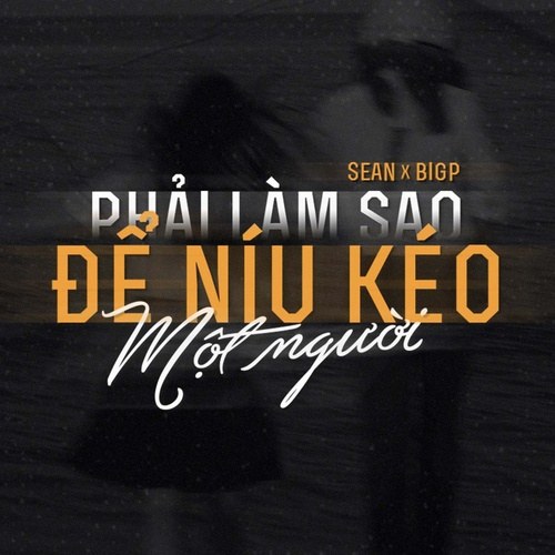 Phải Làm Sao Để Níu Kéo Một Người (Single)