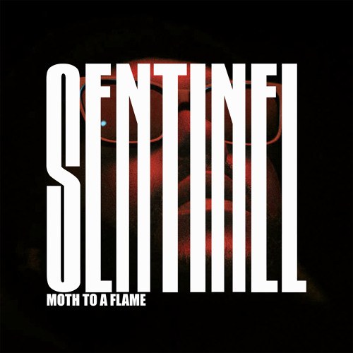 Moth To A Flame (Sentinel Remix) (Single)